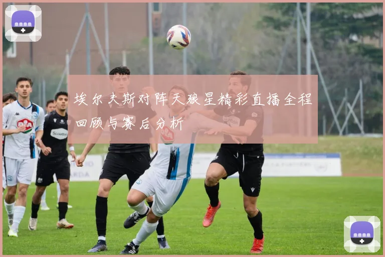 埃尔夫斯对阵天狼星精彩直播全程回顾与赛后分析
