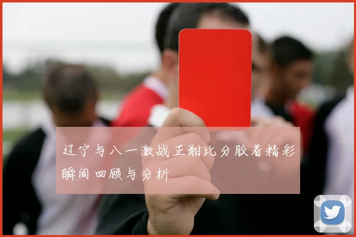 辽宁与八一激战正酣比分胶着精彩瞬间回顾与分析